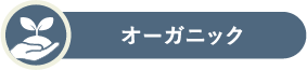 ラインナップセクションバッジ画像
