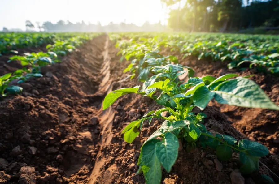 コンセプトセクション画像