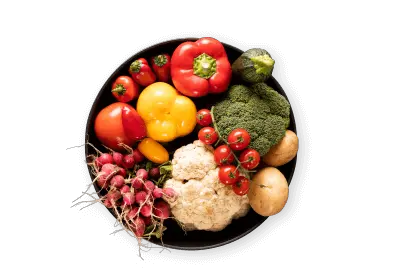 ラインナップセクション画像