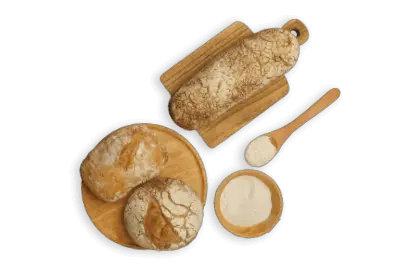 ラインナップセクション画像