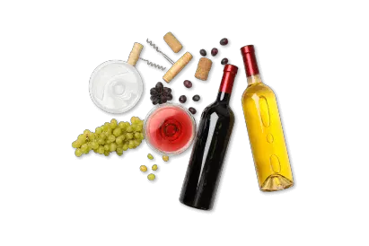 ラインナップセクション画像