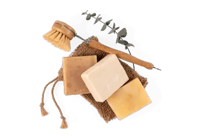 ラインナップセクション画像